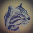 /album/portfolio/poes-jpg/