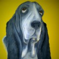/album/portfolio/bassethound-jpg1/