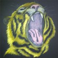 /album/portfolio/tijger-jpg1/